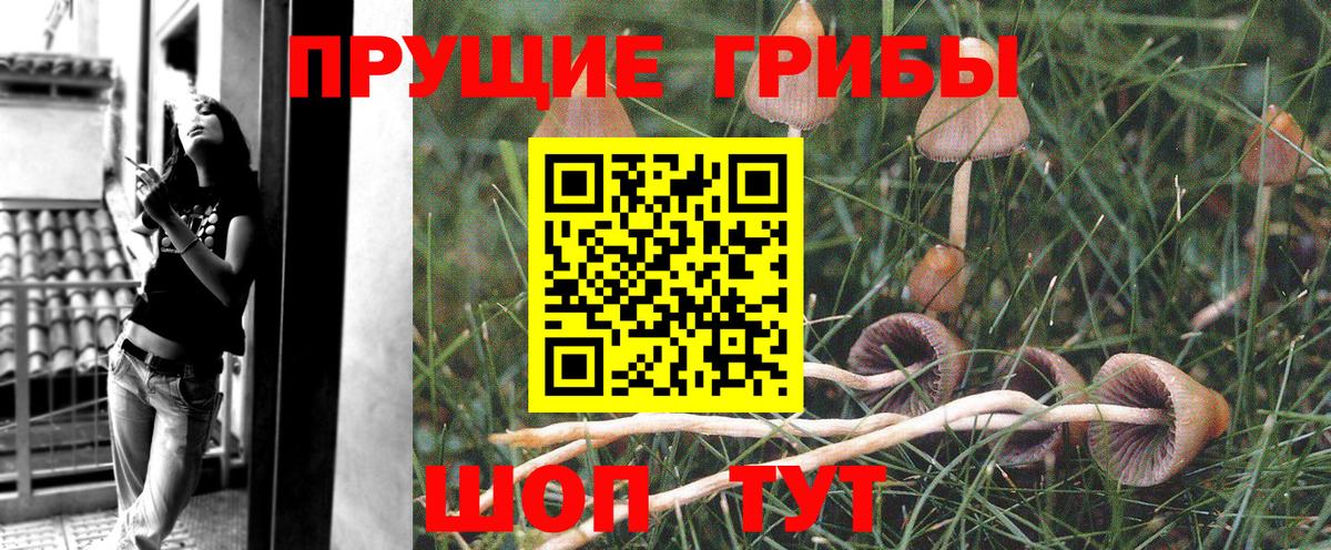 Галлюциногенные грибы прущие грибы Рубцовск