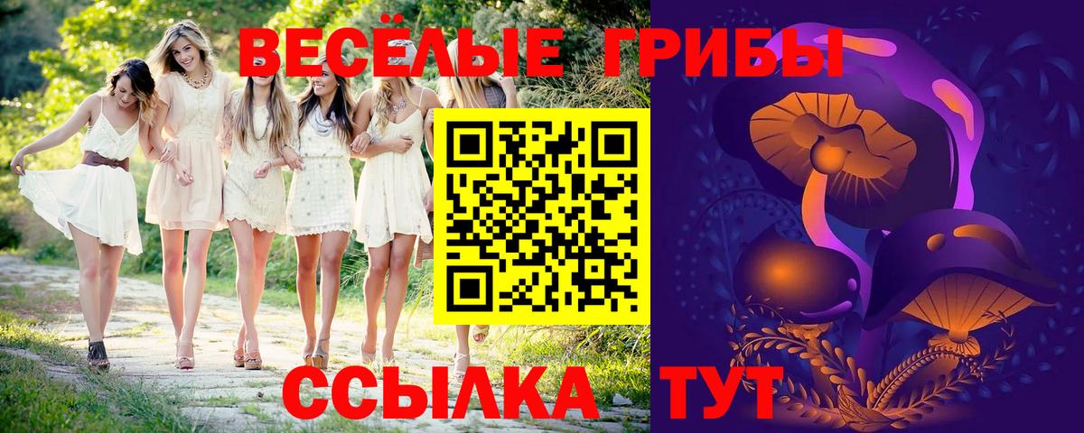 Рубцовск  Псилоцибиновые грибы ЛСД  Галлюциногенные грибы GOLDEN TEACHER  Вход с VPN 